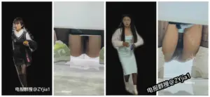 厕拍大神西瓜夜市系列4