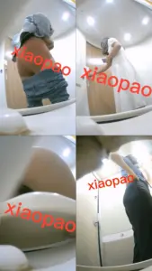流出动车厕拍