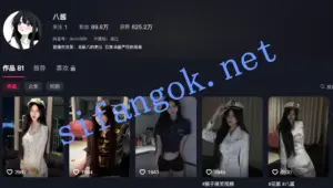 【抖音】八酱  顶级颜值网红  情趣内衣福利写真4V