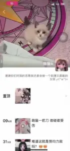 ✅微信 猫猫头 气质良家 巨乳 露脸露点 自慰 B特写 洗澡等 8V