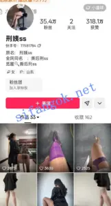 快手主播 撕后刑ss/撕姨 轻熟黑丝美腿 长时自慰啪啪 定制二