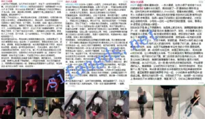【重磅核弹】顶级约啪大神【首尔大武器】7月最新12位极品