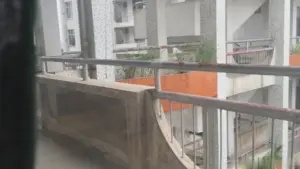 厕拍大神潜入湖南某师范学院教学楼女厕偷拍❤️学妹尿尿高清无水印版
